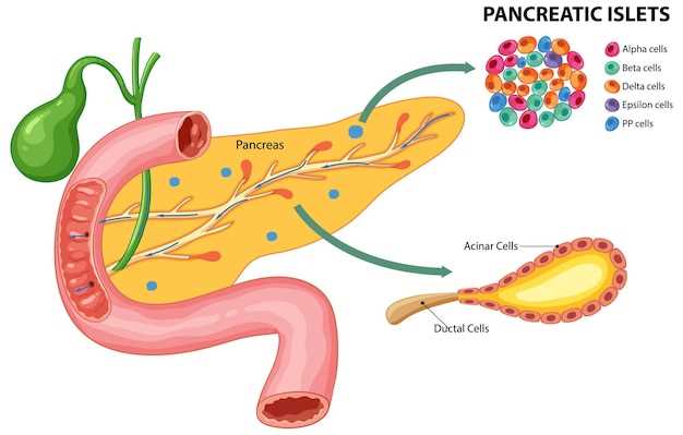 Почему появляются бактерии Helicobacter pylori в желудке?